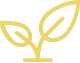 Identify and Invest In High-Quality Charter Networks